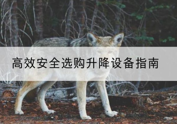 康平升降货梯厂家推荐-*安全选购升降设备指南