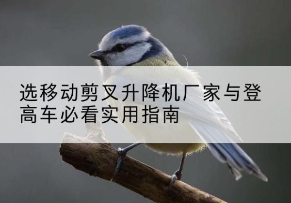 康平电动升降机厂家-选移动剪叉升降机厂家与登高车必看实用指南