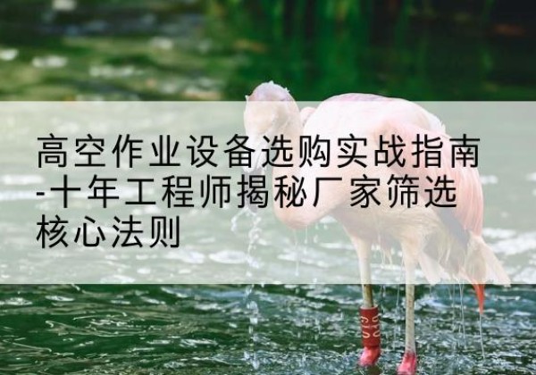 康平剪叉式升降机厂家-高空作业设备选购实战指南-十年工程师揭秘厂家筛选核心法则